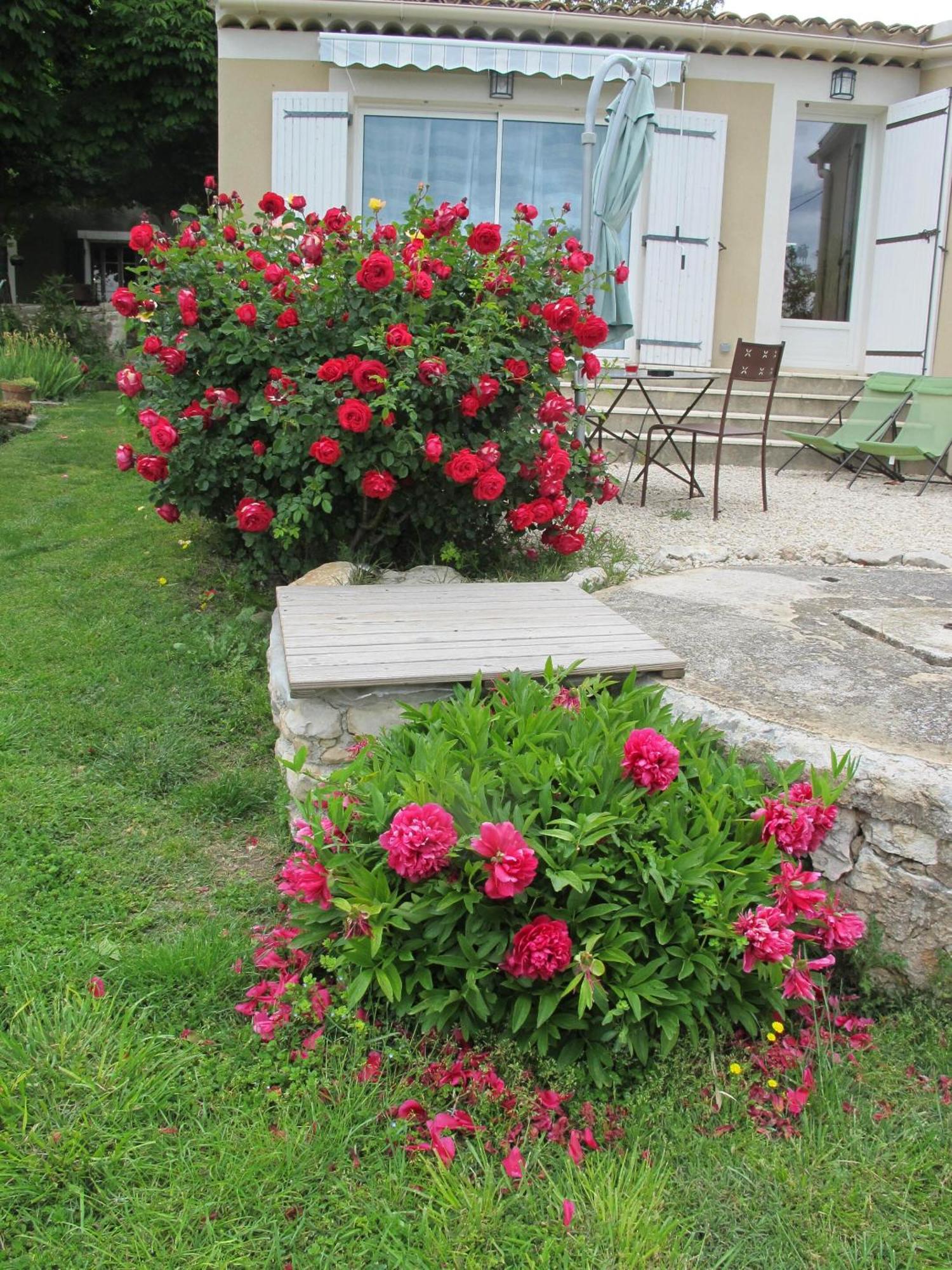 Bed and Breakfast Lou Cardalines Bédoin Exterior foto